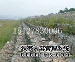 生态石笼网新闻网优质pvc石笼网价格报告