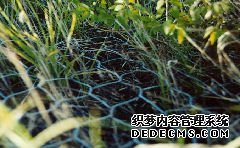 铅丝笼格宾网的5个特征